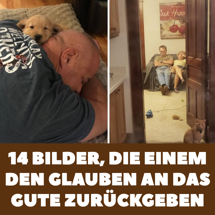 14 Bilder, die einem den Glauben an das Gute zurückgeben