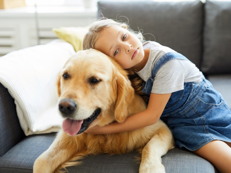 Ein kleines blondes Mädchen umarmt einen Labrador.