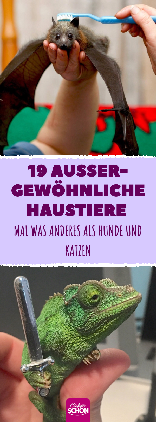 Besondere Haustiere, die man nicht jeden Tag sieht