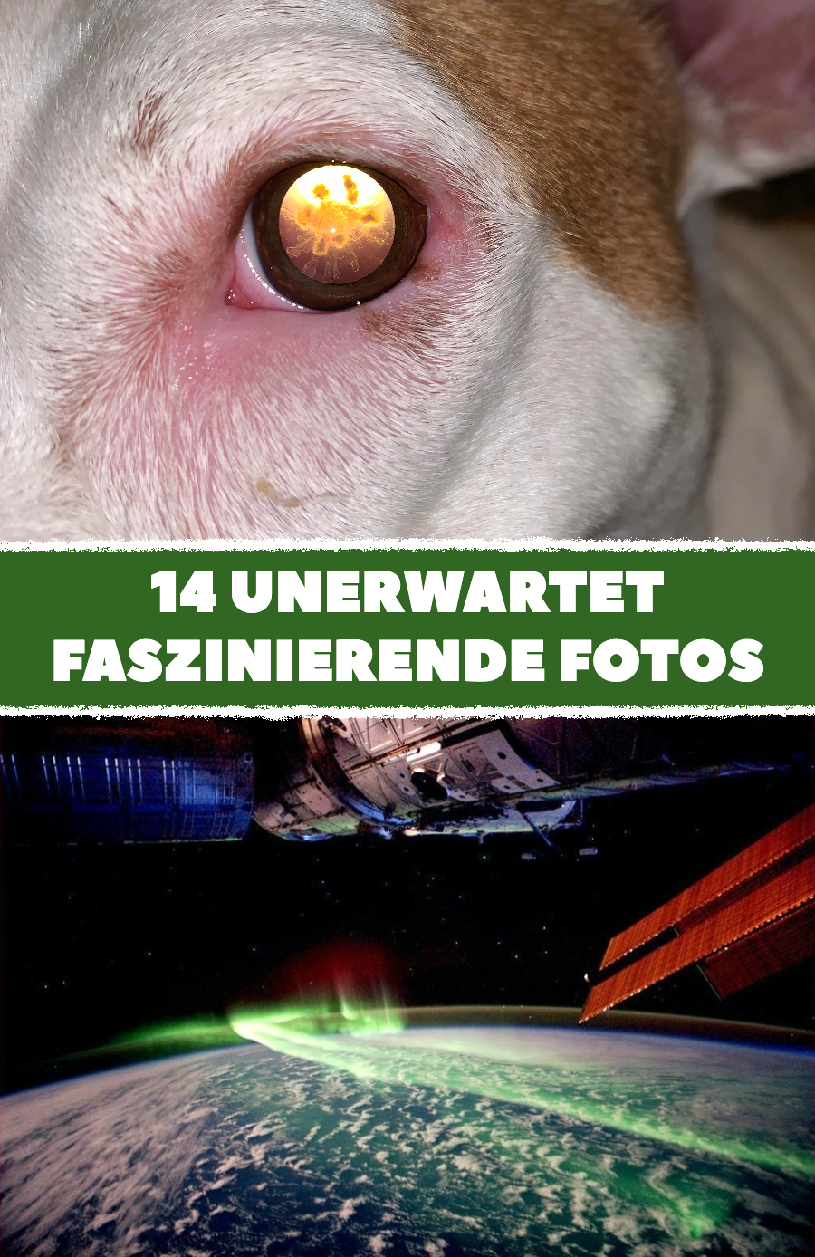 13 Fotos, die man so noch nie gesehen hat