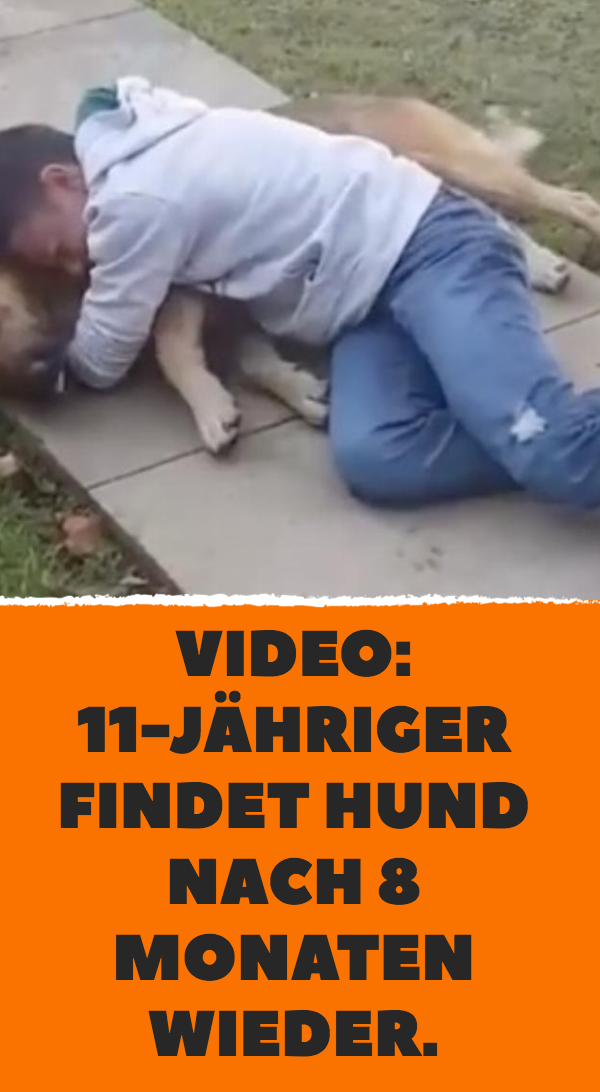 Video: 11-Jähriger findet Hund nach 8 Monaten wieder