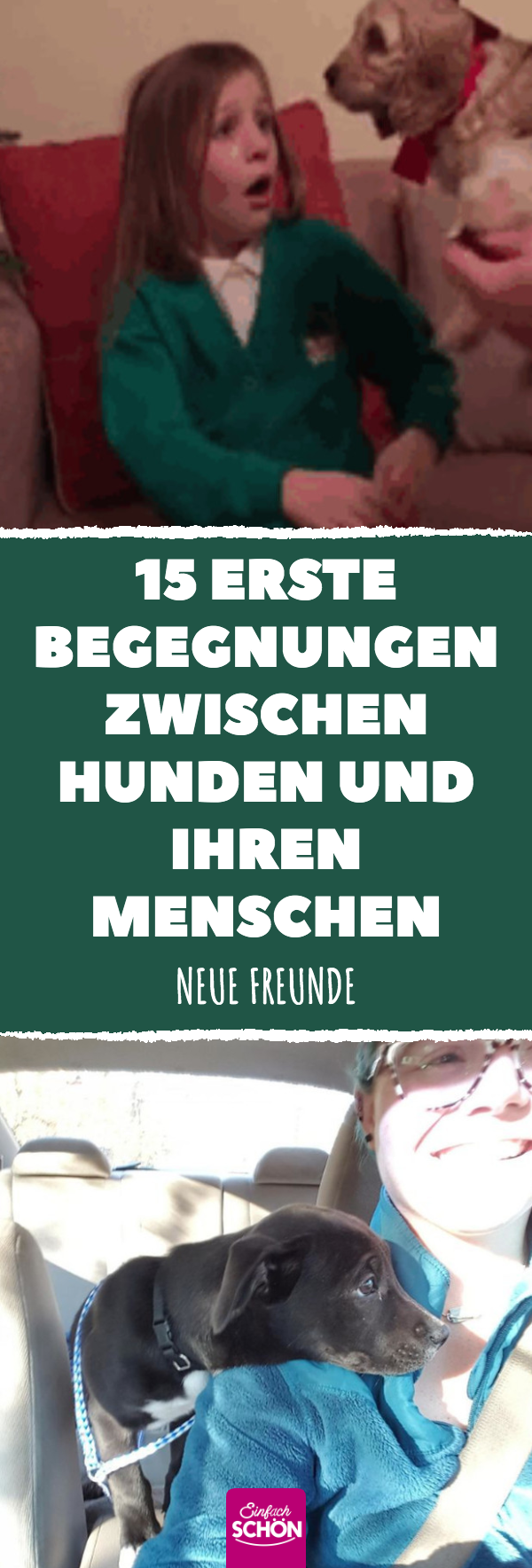 Hundebesitzer, die zum ersten Mal ihre Schützlinge treffen