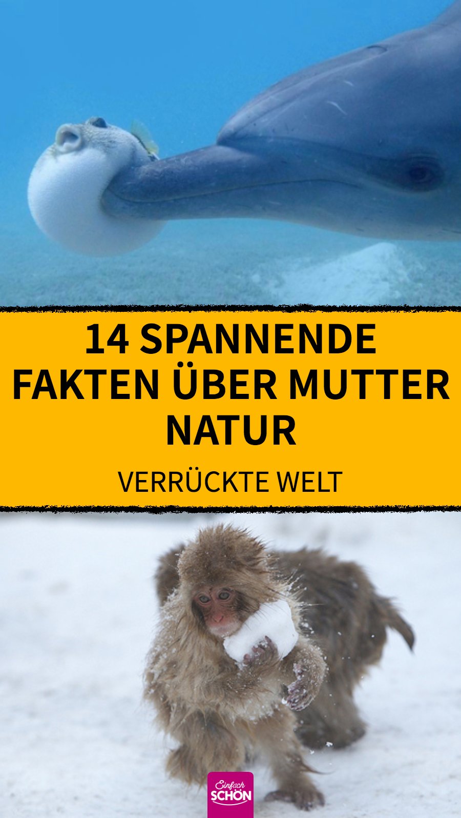 14 kuriose und unterhaltsame Fakten über Natur und Tiere