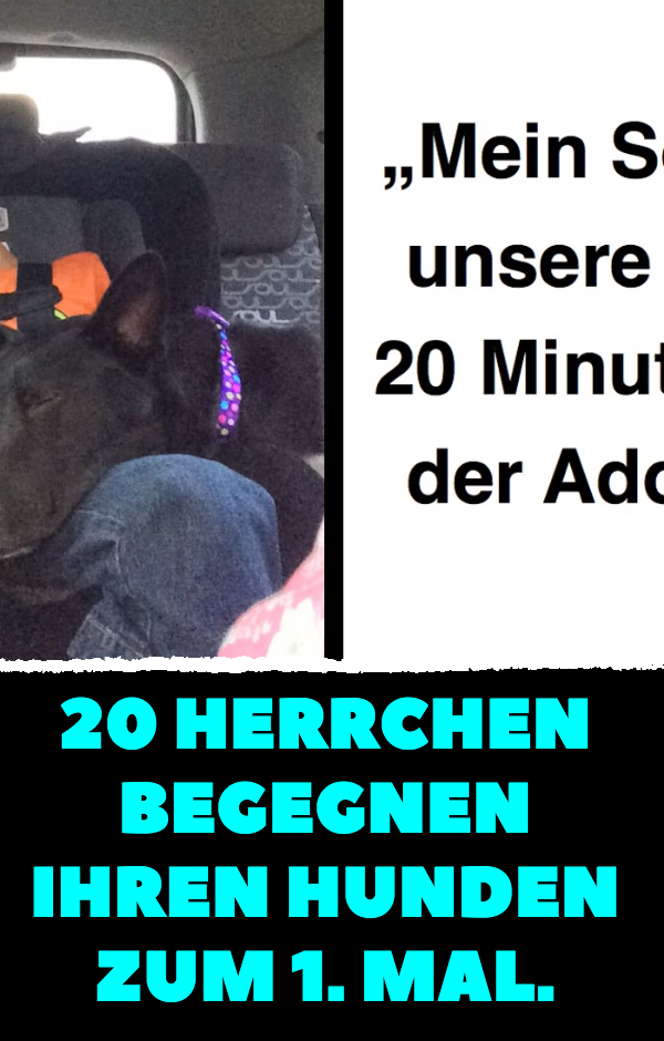 20 Herrchen begegnen ihren Hunden zum 1. Mal