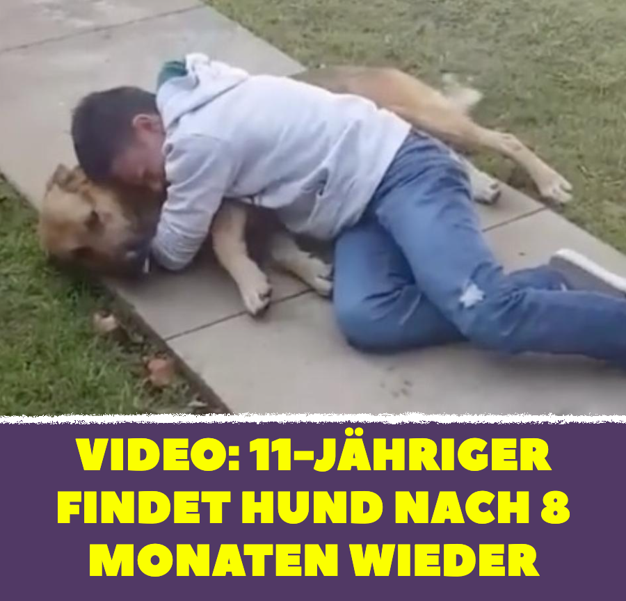 Video: 11-Jähriger findet Hund nach 8 Monaten wieder