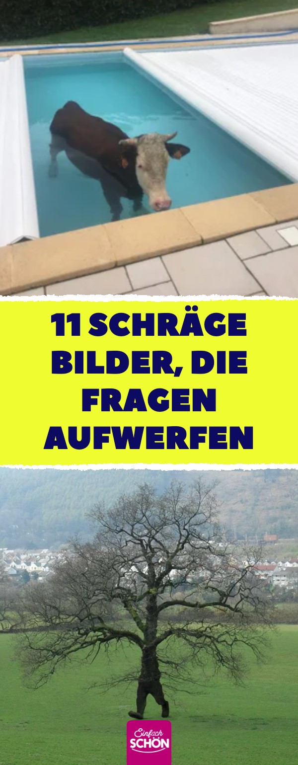 11 Bilder, die einen verwirrt zurücklassen