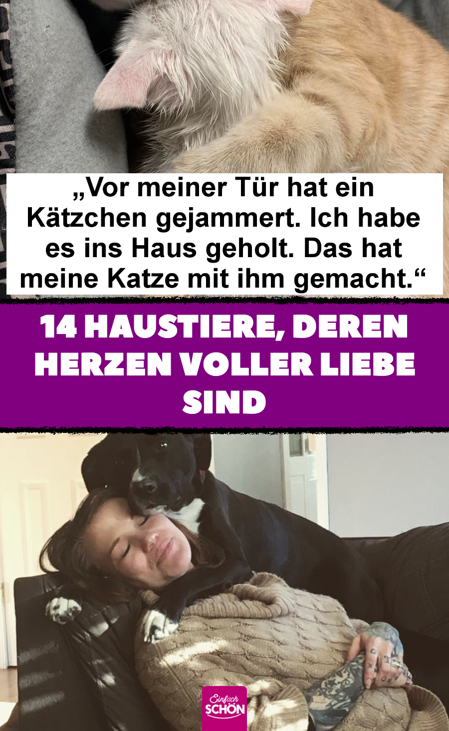 14 Haustiere, deren Herzen voller Liebe sind