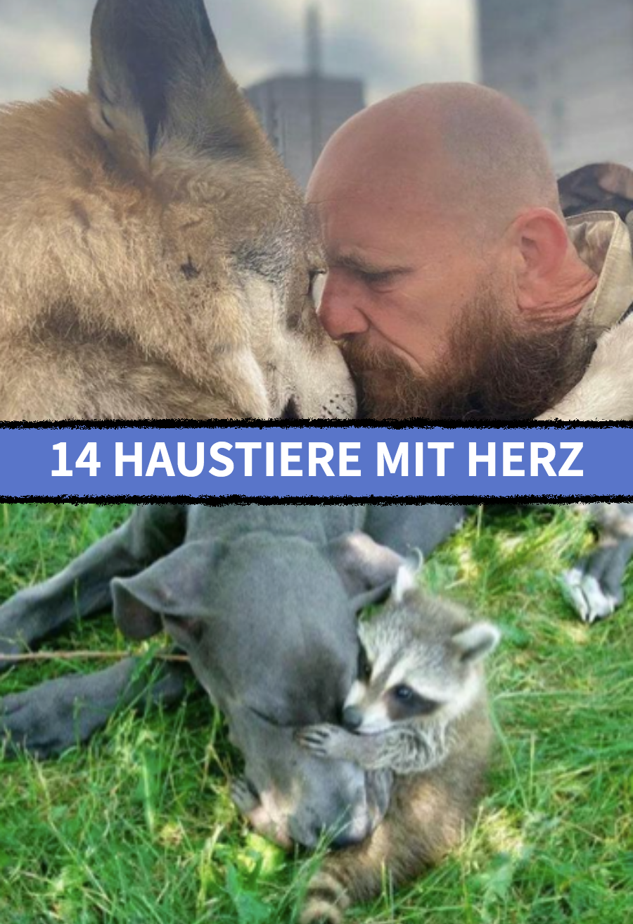 14 Haustiere, deren Herzen voller Liebe sind