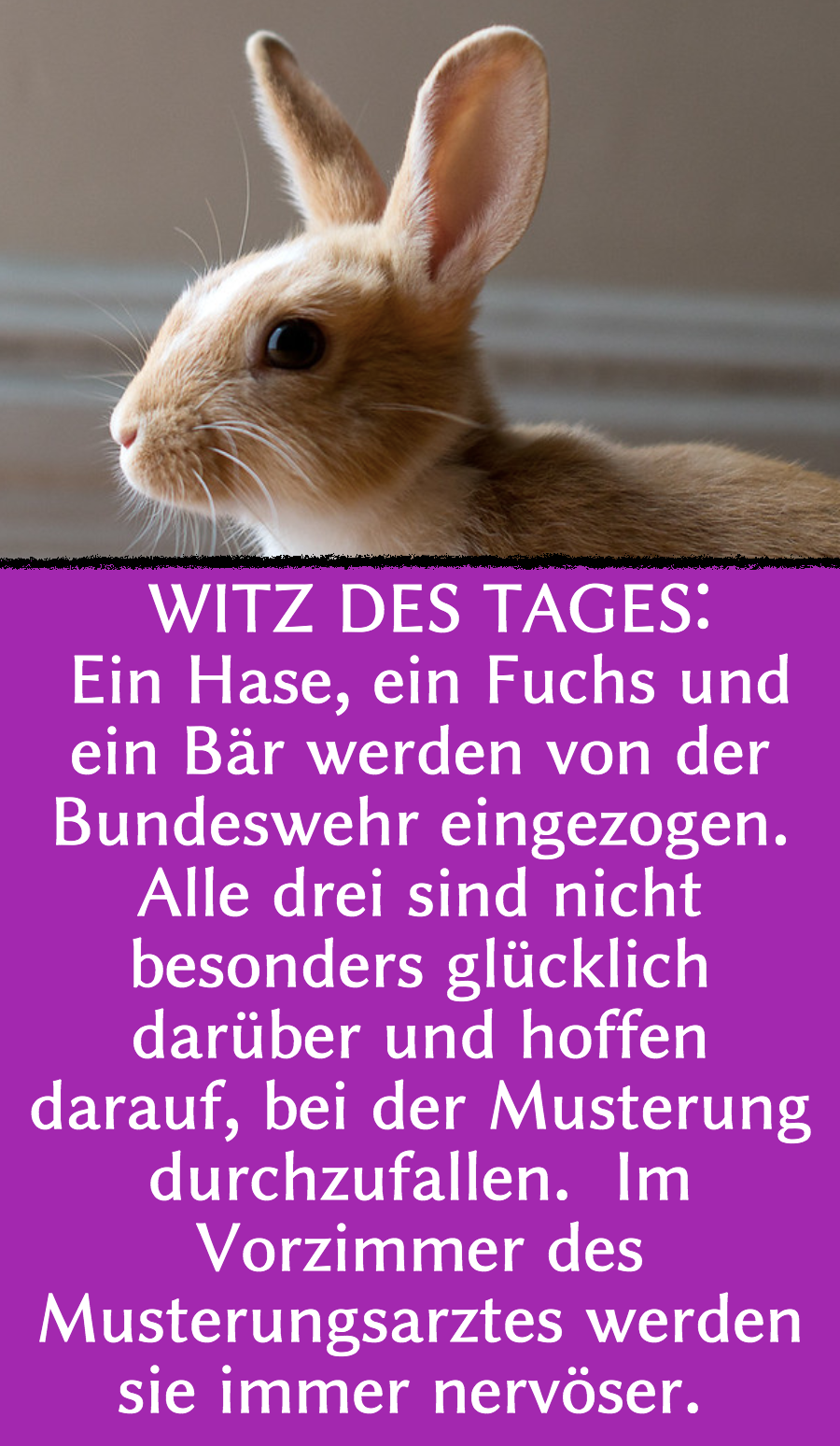 Witz des Tages: Tiere drücken sich um Wehrdienst