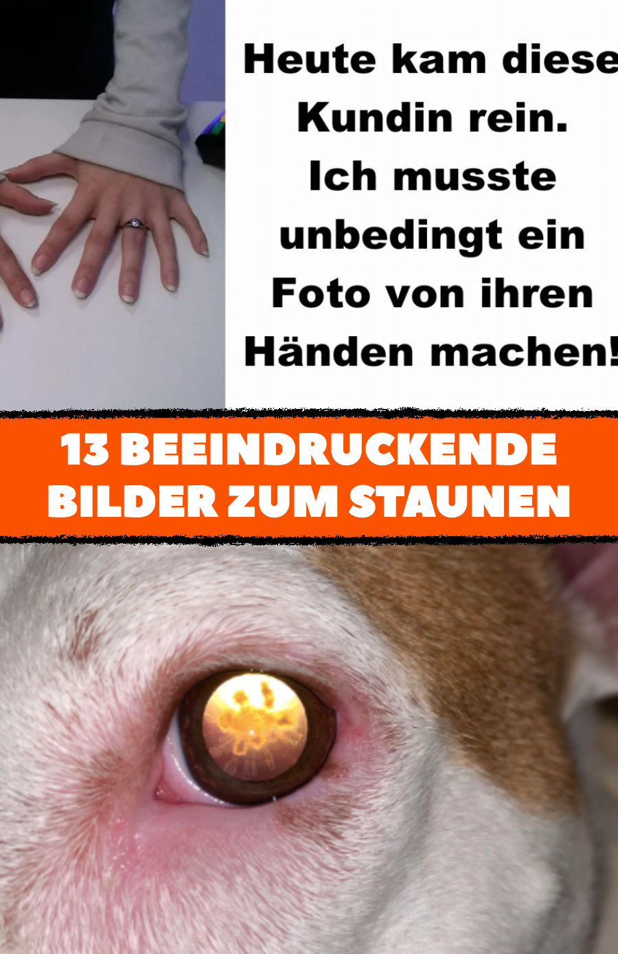 13 Fotos, die man so noch nie gesehen hat