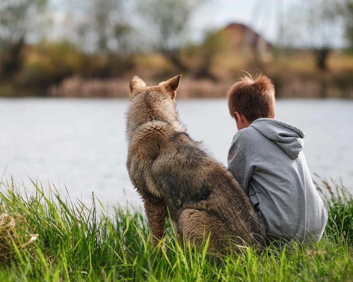 Ein Junge und ein Hund sitzen zusammen an einem Flussufer.