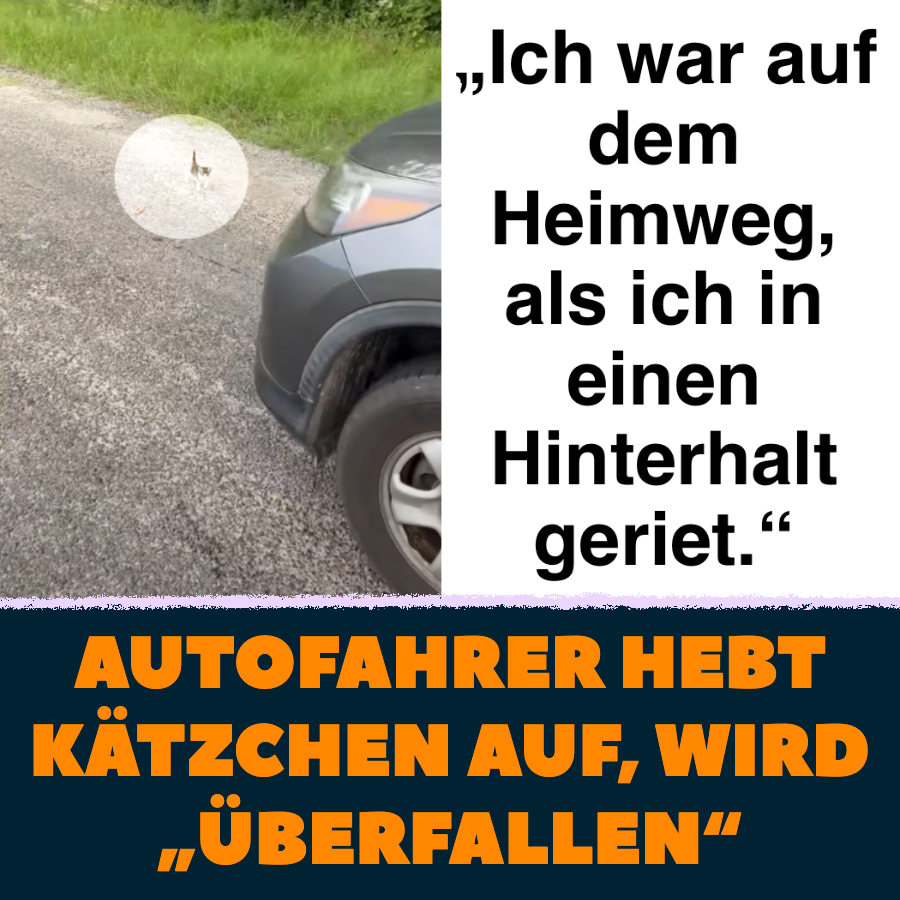 Robert Brantley rettet Kätzchen, gerät in \'Hinterhalt\'