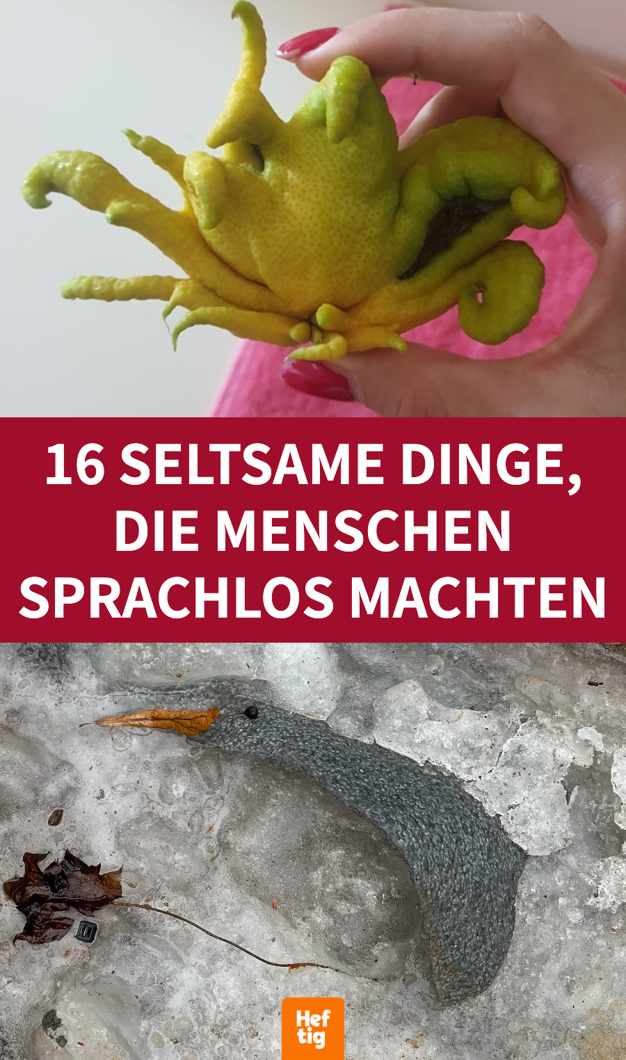 16 kuriose Dinge, auf die Leute gestoßen sind