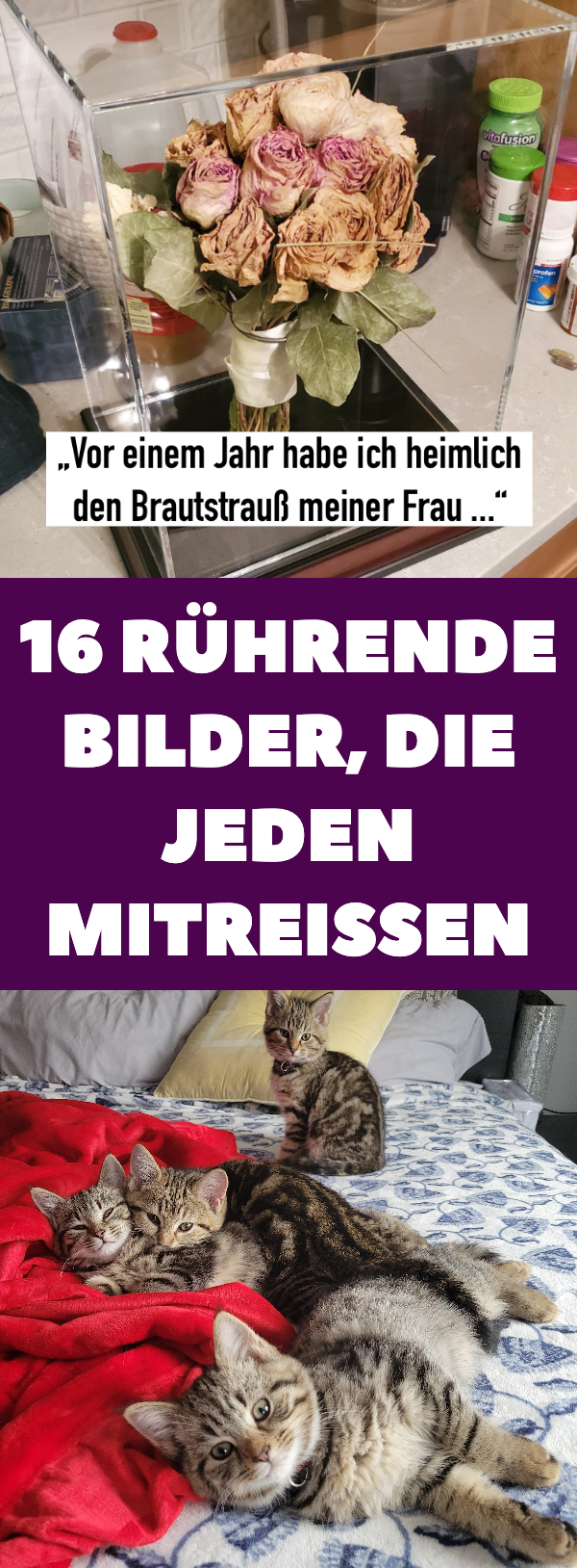 16 rührende Bilder, die jeden mitreißen