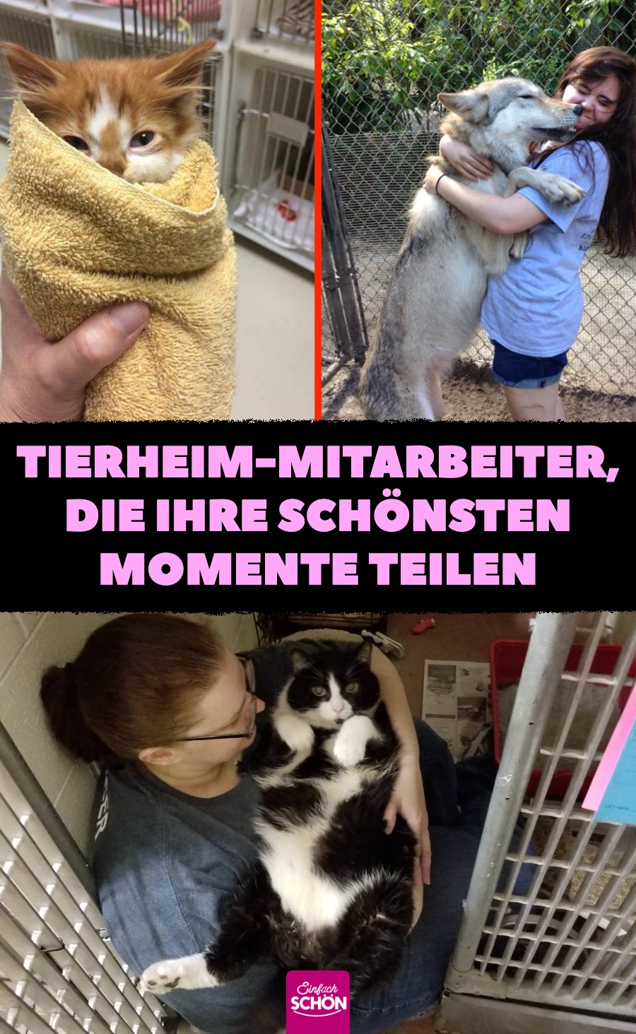 15 Tierheim-Mitarbeiter, die ihre schönsten Momente teilen