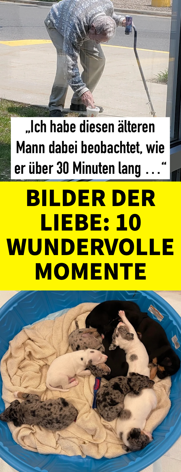 Bilder der Liebe: 10 wundervolle Momente