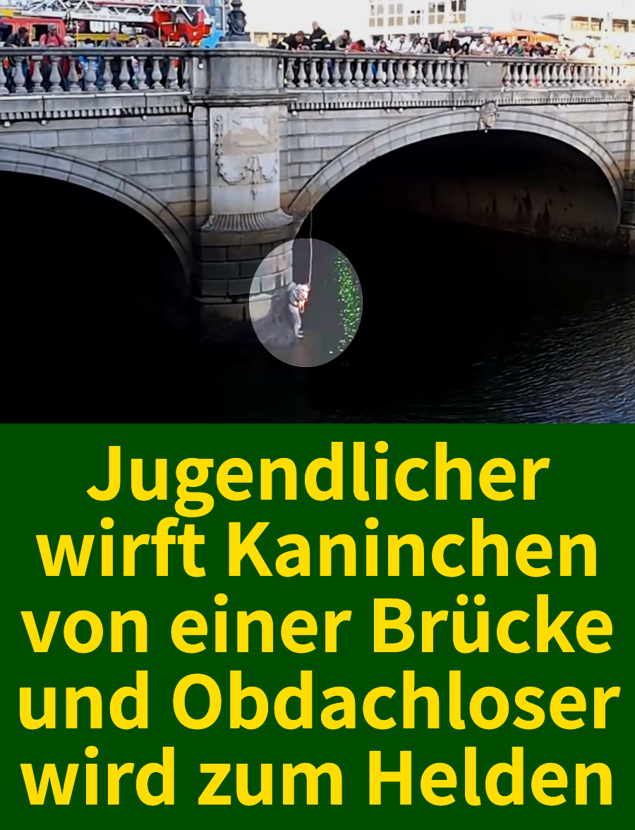 Jugendlicher wirft Kaninchen von einer Brücke und Obdachloser wird zum Helden