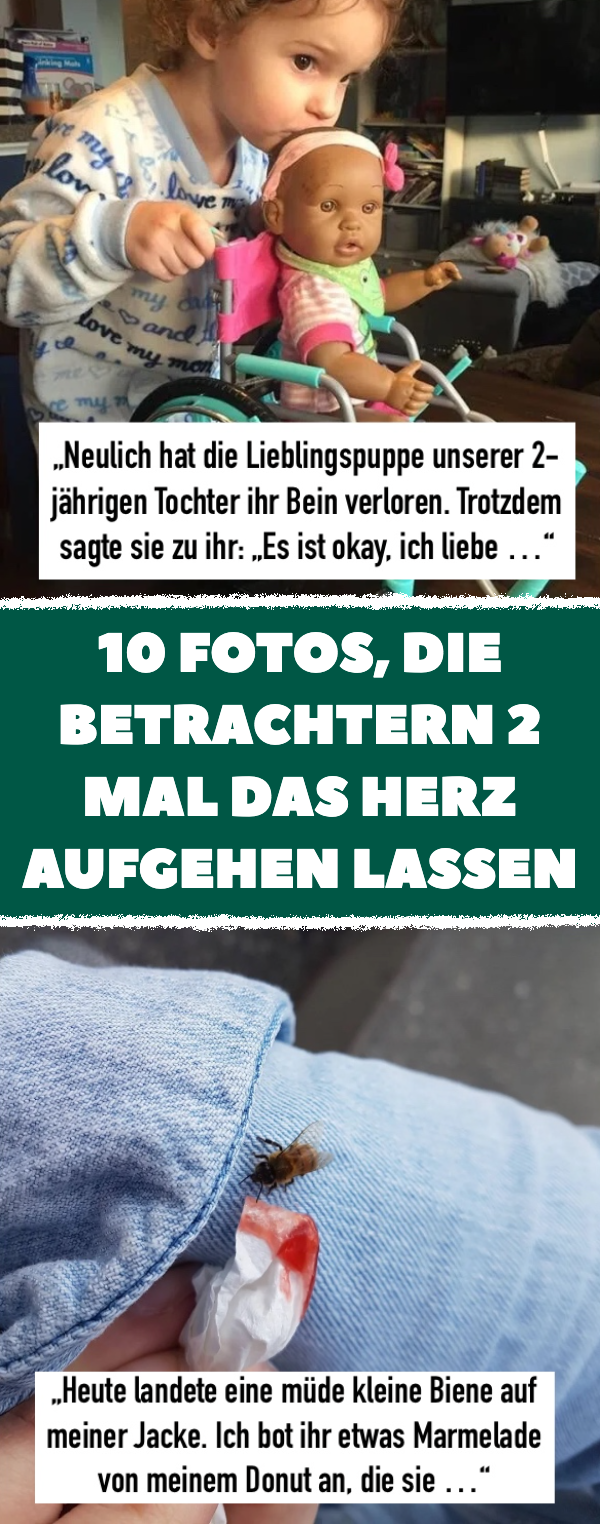 10 Bilder, die wirklich das Herz bewegen