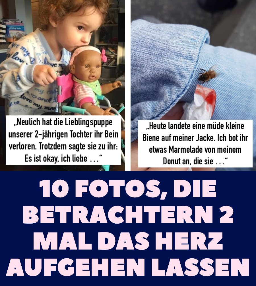 10 Bilder, die wirklich das Herz bewegen