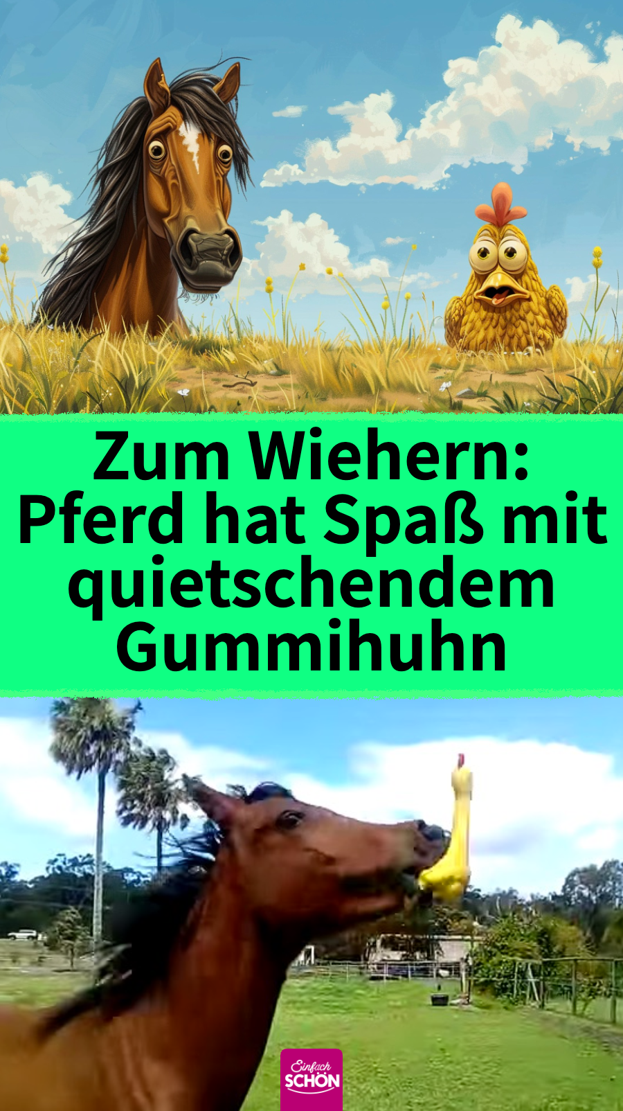 Pferd findet ein gelbes Gummihuhn auf der Weide – und legt los