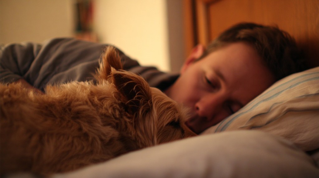 Hunde helfen ihrem Herrchen, Schmerzen besser zu ertragen