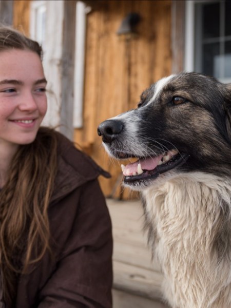 Hunde: 10 Gründe, warum sie dein Leben verbessern