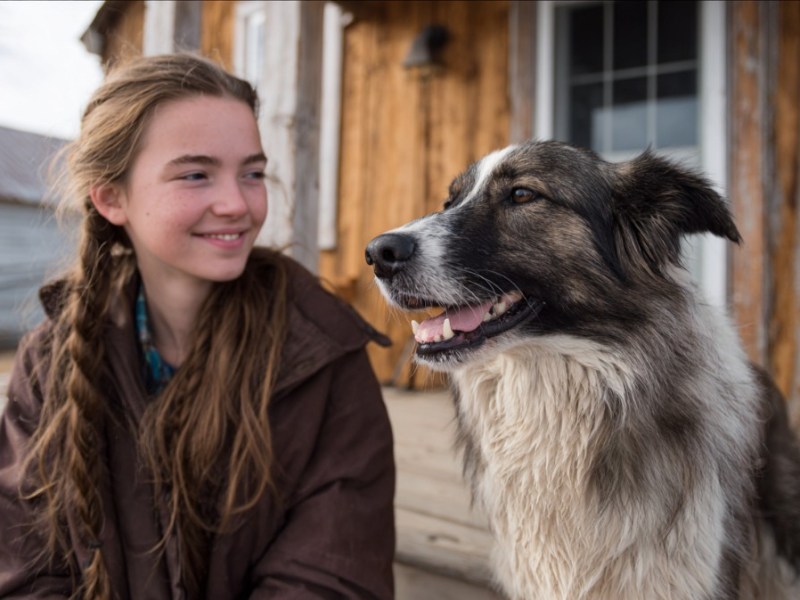 10 Dinge, die Hunde in deinem Leben verbessern